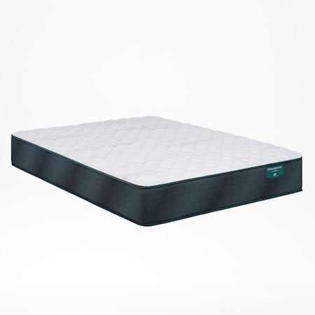 Twin Mattress