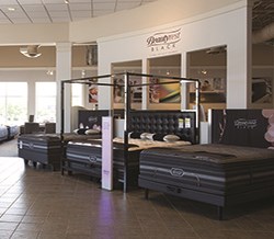 Darvin Bedding SHowroom