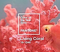 2019 Pantone Color of the Year