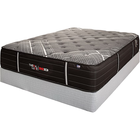 Queen Heavy Duty Mattress Set