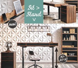 Sit Stand Desks