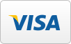 We Accept Visa